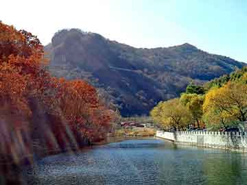 伊春疫區(qū)最新動態(tài)更新，今日關鍵消息匯總