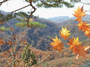 專題文庫(kù)，深挖知識(shí)寶藏，一站式探索知識(shí)寶庫(kù)