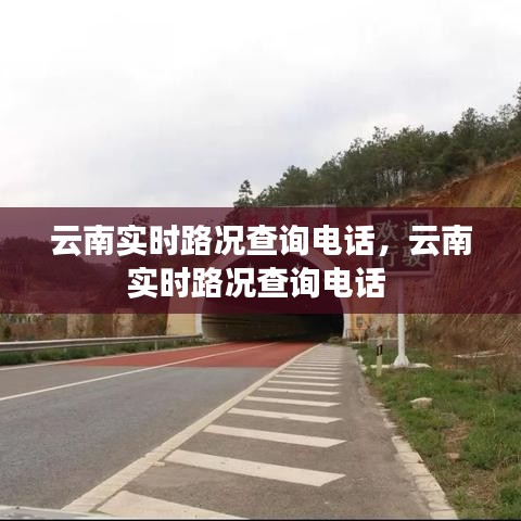 技術(shù)支持 第203頁