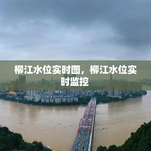 柳江水位實時圖，柳江水位實時監(jiān)控 