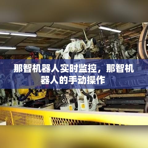 那智機(jī)器人實(shí)時(shí)監(jiān)控，那智機(jī)器人的手動(dòng)操作 
