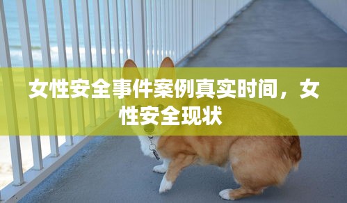 女性安全事件案例真實時間，女性安全現(xiàn)狀 