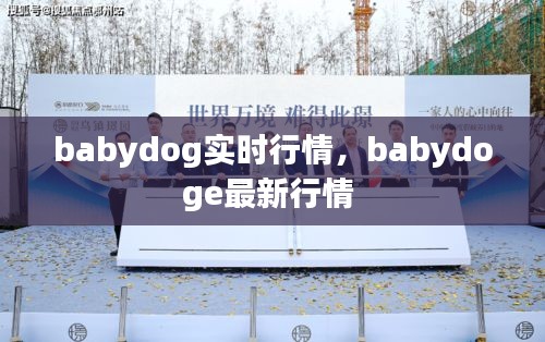 babydog實(shí)時(shí)行情，babydoge最新行情 