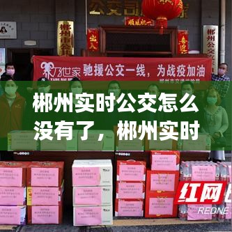 郴州實時公交怎么沒有了，郴州實時公交app 