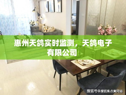 惠州天鴿實時監(jiān)測，天鴿電子有限公司 