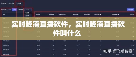 實時降落直播軟件，實時降落直播軟件叫什么 