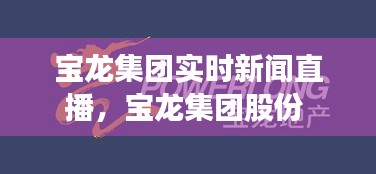 寶龍集團(tuán)實(shí)時新聞直播，寶龍集團(tuán)股份 
