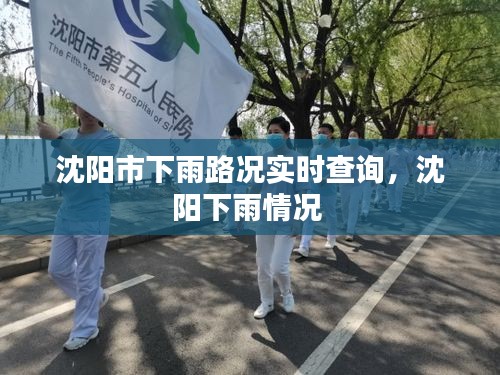 沈陽(yáng)市下雨路況實(shí)時(shí)查詢，沈陽(yáng)下雨情況 