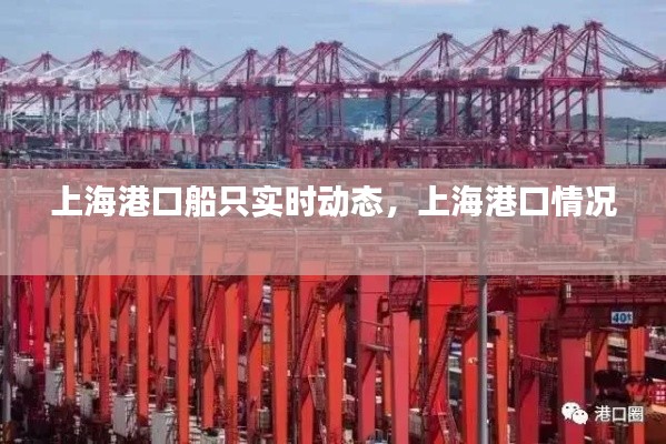 上海港口船只實(shí)時(shí)動(dòng)態(tài)，上海港口情況 