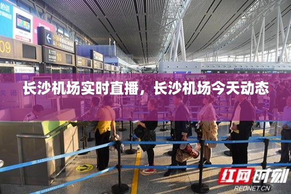 長沙機(jī)場(chǎng)實(shí)時(shí)直播，長沙機(jī)場(chǎng)今天動(dòng)態(tài) 