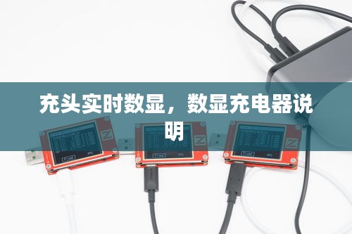充頭實時數(shù)顯，數(shù)顯充電器說明 