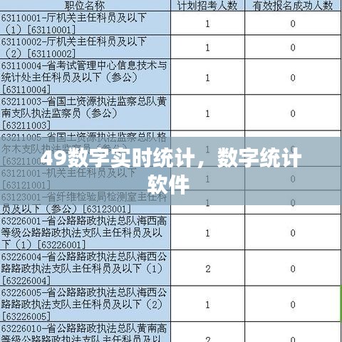 49數(shù)字實(shí)時(shí)統(tǒng)計(jì)，數(shù)字統(tǒng)計(jì)軟件 