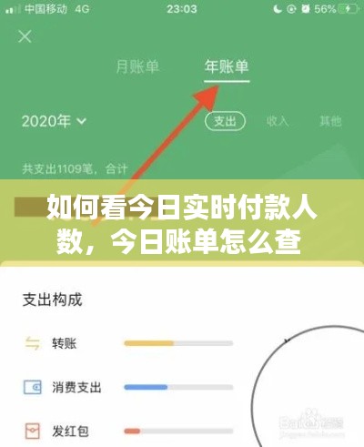 如何看今日實(shí)時(shí)付款人數(shù)，今日賬單怎么查 