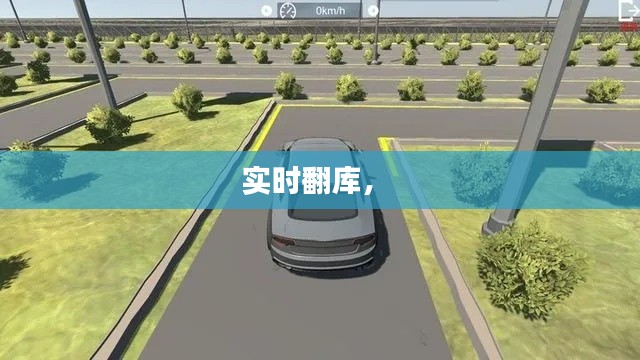 實(shí)時(shí)翻庫(kù)， 