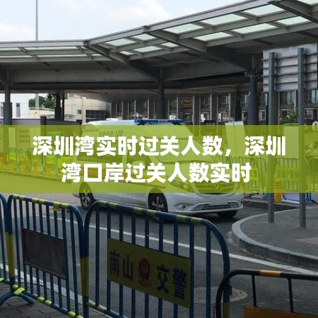 深圳灣實(shí)時(shí)過關(guān)人數(shù)，深圳灣口岸過關(guān)人數(shù)實(shí)時(shí) 