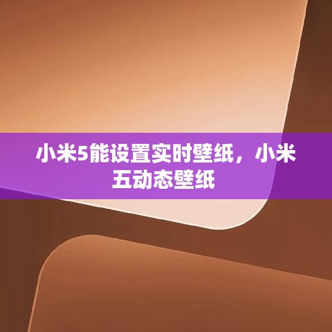 小米5能設(shè)置實(shí)時(shí)壁紙，小米五動(dòng)態(tài)壁紙 