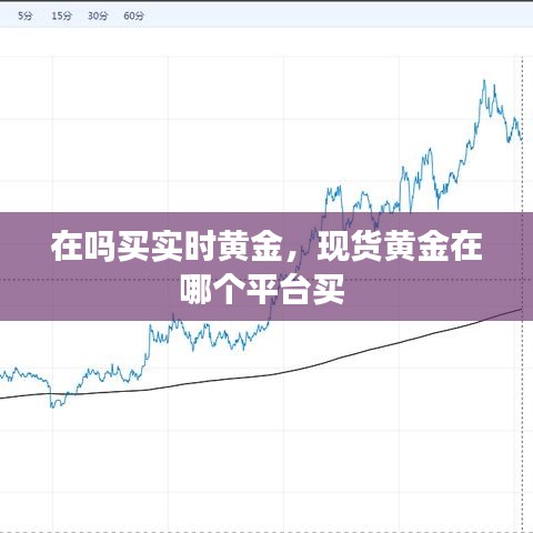 在嗎買實時黃金，現(xiàn)貨黃金在哪個平臺買 