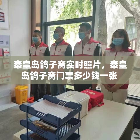 秦皇島鴿子窩實(shí)時(shí)照片，秦皇島鴿子窩門票多少錢一張 