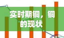 實時期銅，銅的現(xiàn)狀 