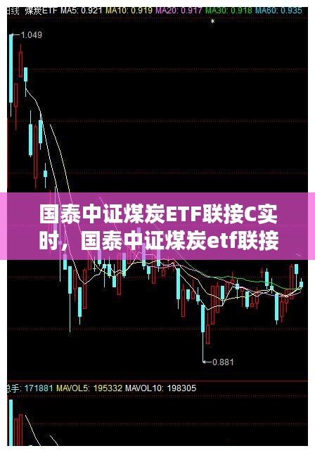 國泰中證煤炭ETF聯(lián)接C實時，國泰中證煤炭etf聯(lián)接c基金 