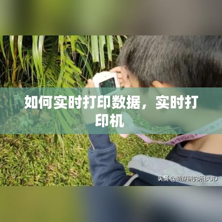 如何實時打印數(shù)據(jù)，實時打印機 