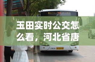 玉田實(shí)時(shí)公交怎么看，河北省唐山市玉田縣公交車(chē) 