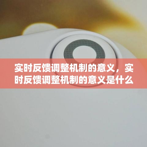 實時反饋調(diào)整機制的意義，實時反饋調(diào)整機制的意義是什么 