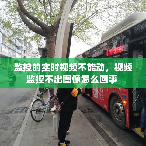 監(jiān)控的實時視頻不能動，視頻監(jiān)控不出圖像怎么回事 