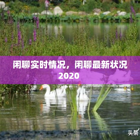 閑聊實時情況，閑聊最新狀況2020 