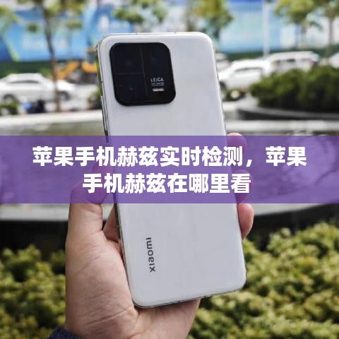 蘋果手機赫茲實時檢測，蘋果手機赫茲在哪里看 