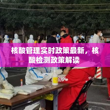 核酸管理實時政策最新，核酸檢測政策解讀 