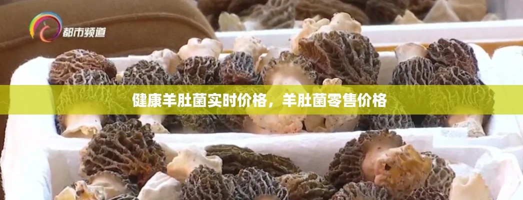 健康羊肚菌實時價格，羊肚菌零售價格 
