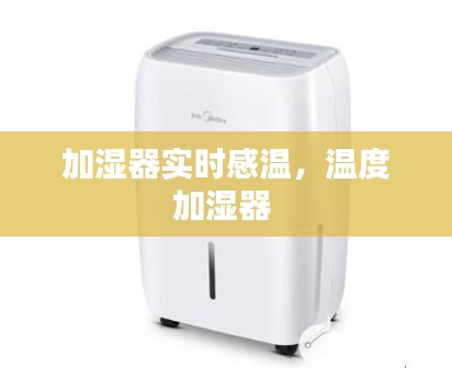 加濕器實時感溫，溫度加濕器 