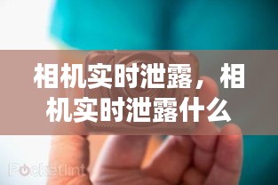 衣不兼采 第2頁