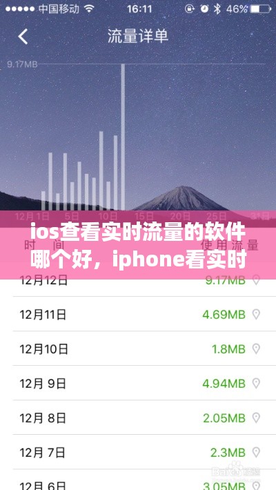 ios查看實(shí)時(shí)流量的軟件哪個(gè)好，iphone看實(shí)時(shí)流量 