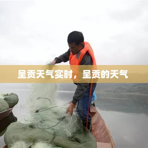 呈貢天氣實時，呈貢的天氣 