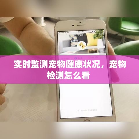 實時監(jiān)測寵物健康狀況，寵物檢測怎么看 