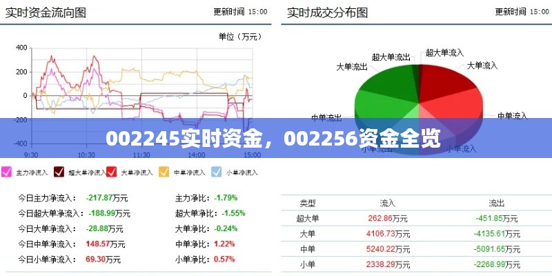 002245實(shí)時(shí)資金，002256資金全覽 