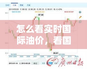 怎么看實時國際油價，看國際油價漲跌用什么軟件好 