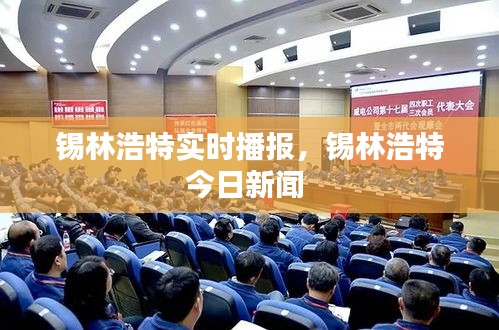 錫林浩特實(shí)時(shí)播報(bào)，錫林浩特今日新聞 