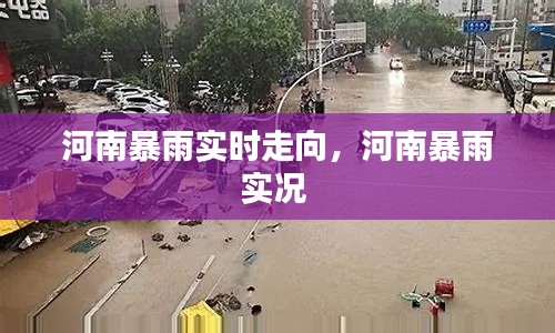 河南暴雨實(shí)時(shí)走向，河南暴雨實(shí)況 
