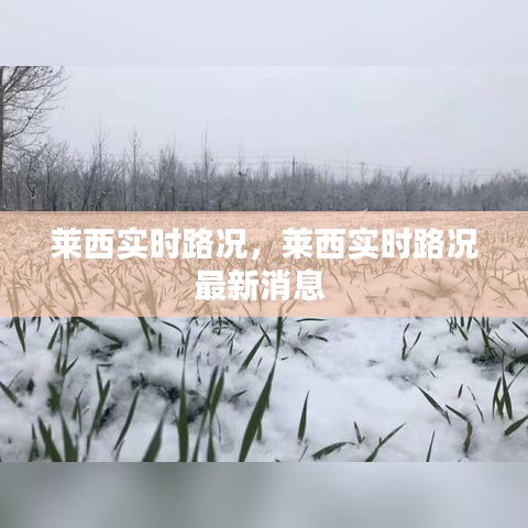 萊西實時路況，萊西實時路況最新消息 