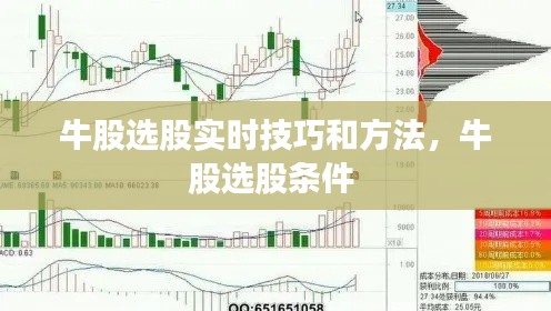 牛股選股實(shí)時(shí)技巧和方法，牛股選股條件 