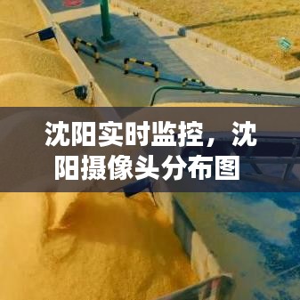 沈陽實時監(jiān)控，沈陽攝像頭分布圖 