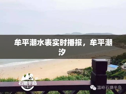 牟平潮水表實(shí)時(shí)播報(bào)，牟平潮汐 