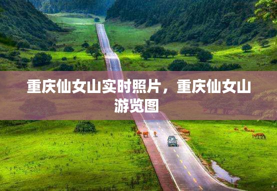 重慶仙女山實時照片，重慶仙女山游覽圖 