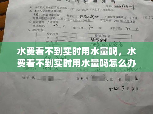水費(fèi)看不到實(shí)時(shí)用水量嗎，水費(fèi)看不到實(shí)時(shí)用水量嗎怎么辦 
