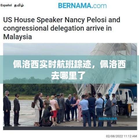 佩洛西實時航班蹤跡，佩洛西去哪里了 