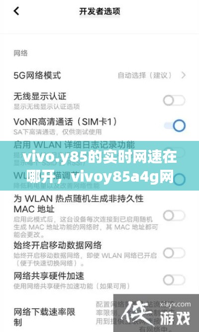 vivo.y85的實(shí)時(shí)網(wǎng)速在哪開(kāi)，vivoy85a4g網(wǎng)絡(luò)哪里設(shè)置 