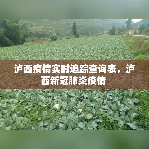 瀘西疫情實(shí)時(shí)追蹤查詢表，瀘西新冠肺炎疫情 